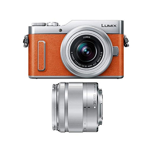 Japan Panasonic LUMIX GF10 SLR camera dual lens